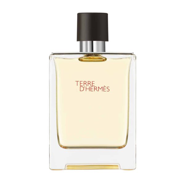 Hermès Terre d'Hermès Eau de Toilette