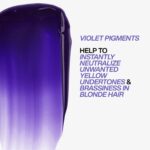 Redken Color Extend Blondage Express Anti-Brass Mask 250ml