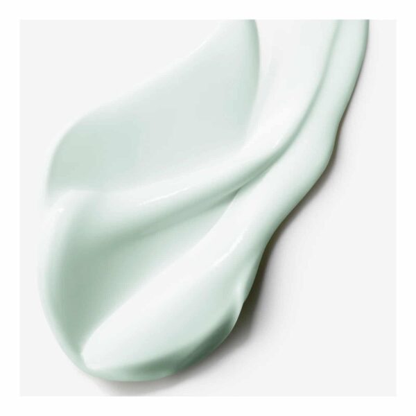 Estée Lauder NightWear Plus Anti-Oxidant Detox Night Creme 50ml texture